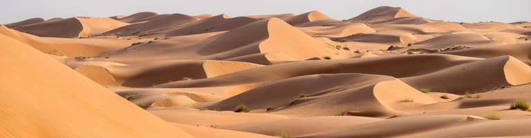 Wahiba Sands