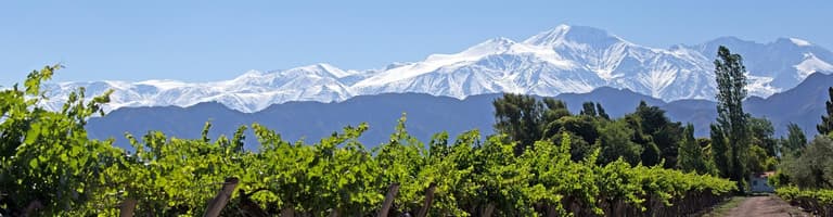 Mendoza