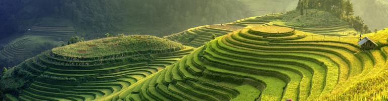 Sapa