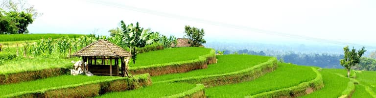 Payangan