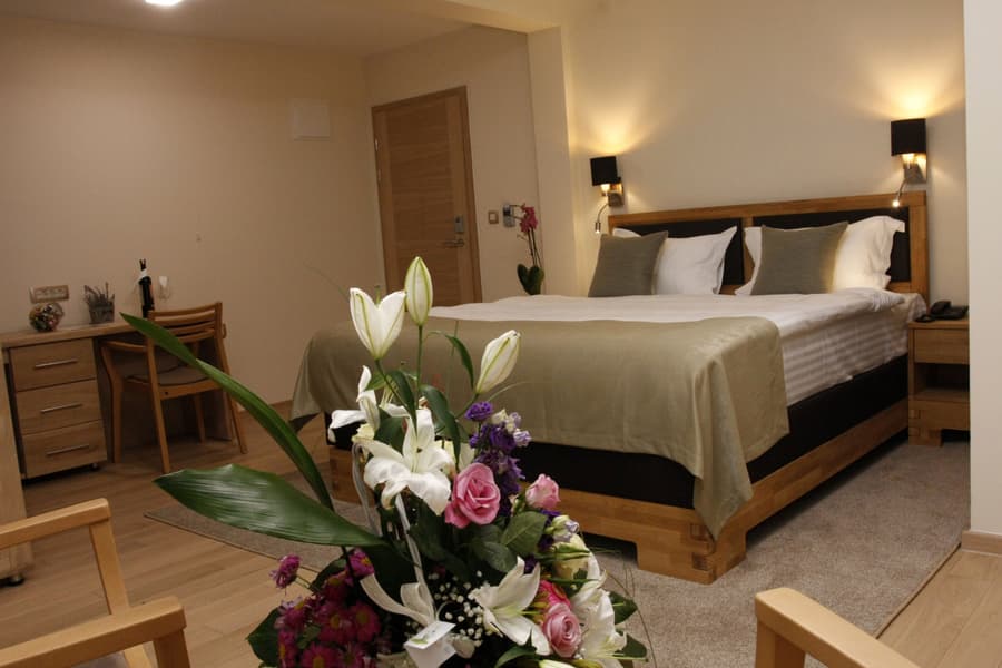 Hotel Aziza