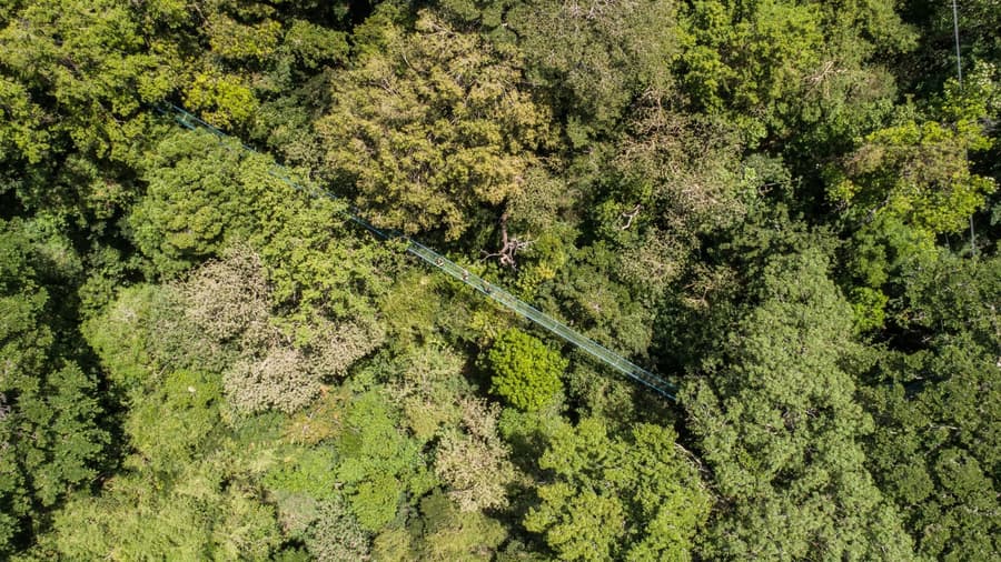 Buena Vista del Rincon Eco Adventure Park, Hotel & Spa