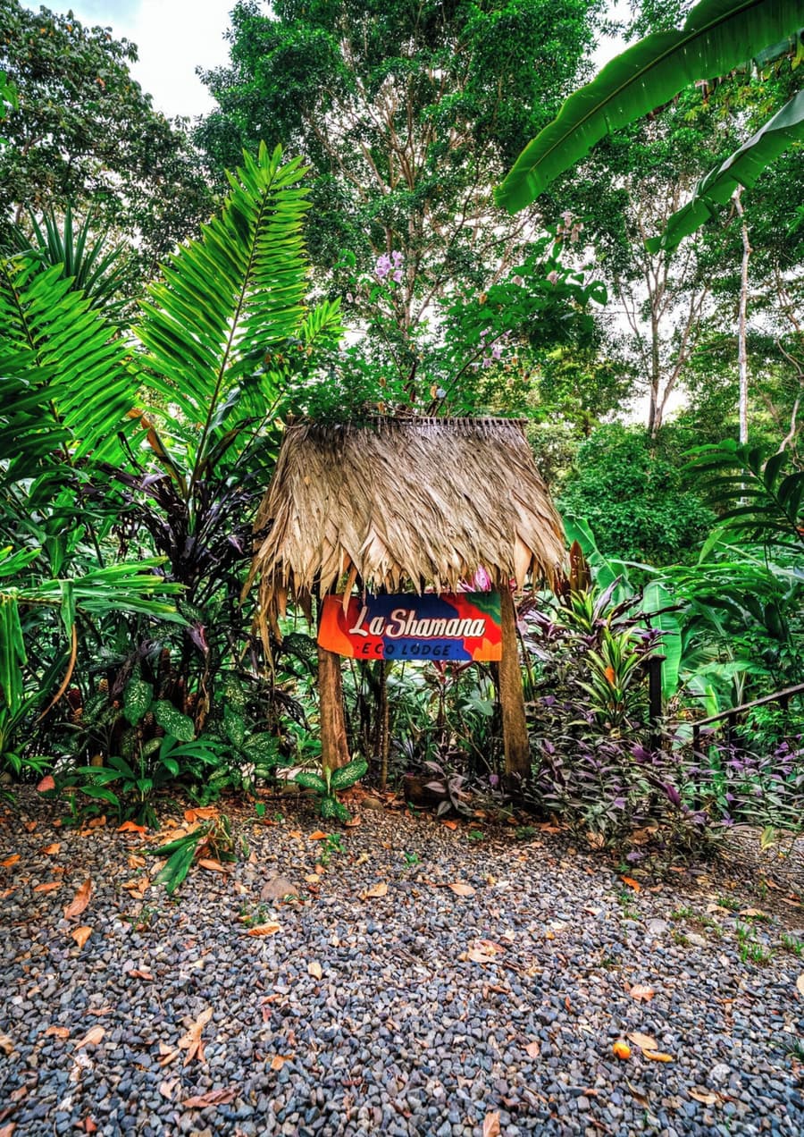 La Shamana Ecological, Concept in the Jungle