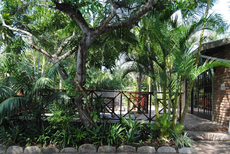 African-Dreamz Guest House
