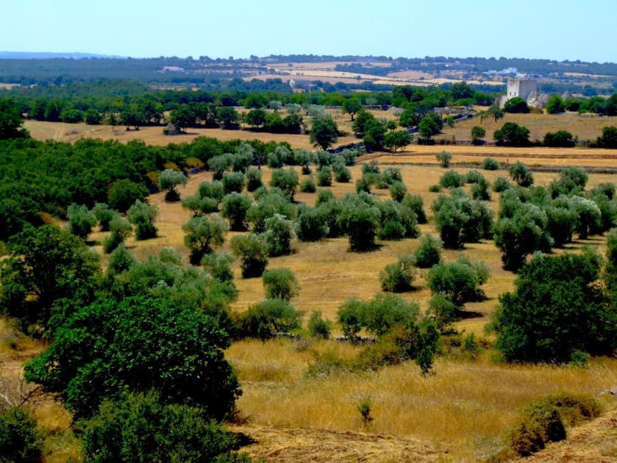 Apulia Victor Country Hotel