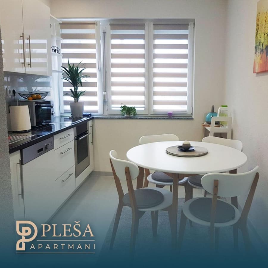 Apartment Pleša