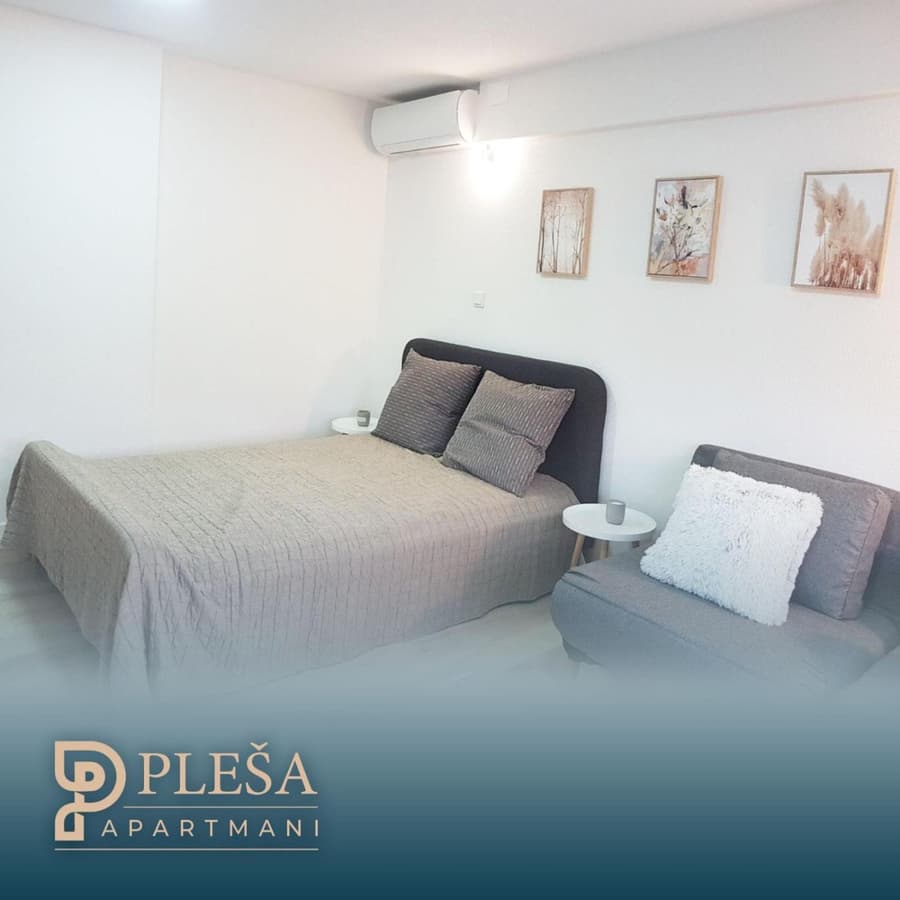Apartment Pleša