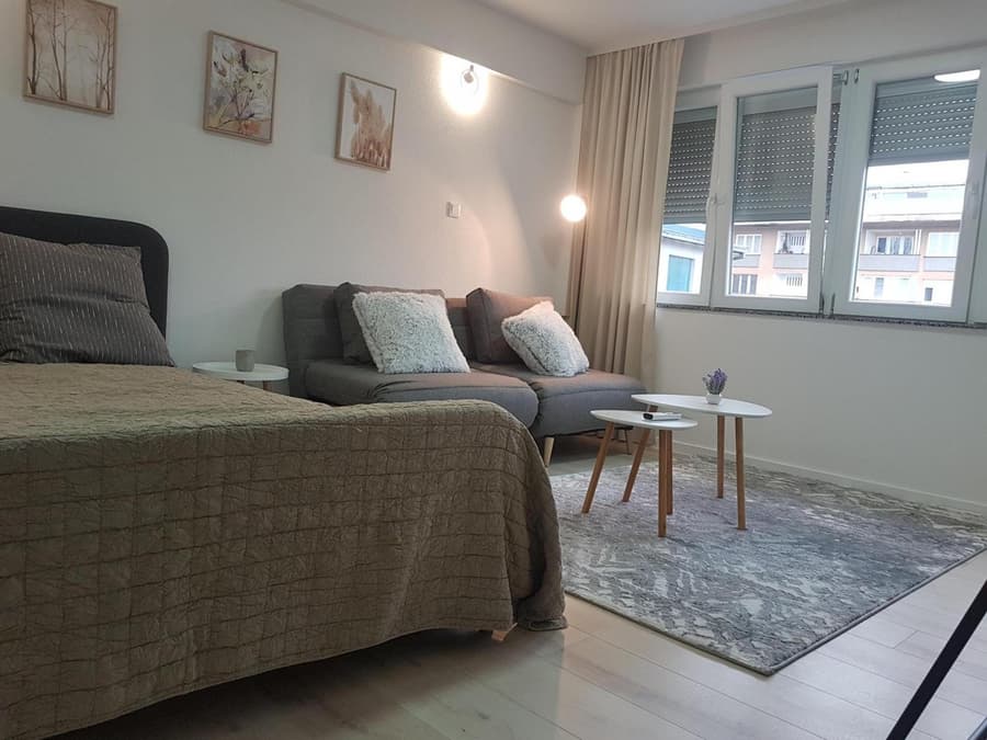 Apartment Pleša